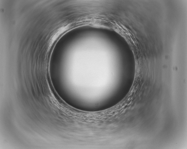 X0000087030003200704161622