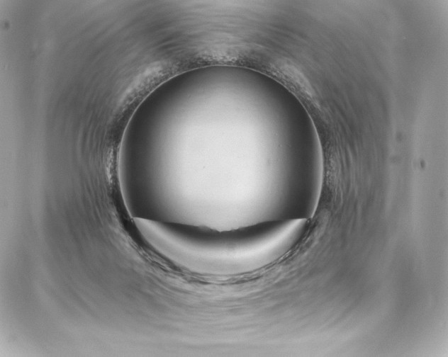X0000087030023200704161622