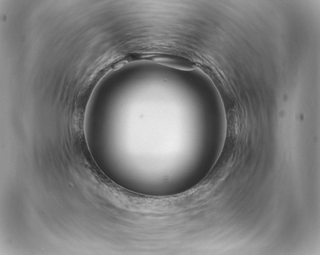 X0000087030044200704161621