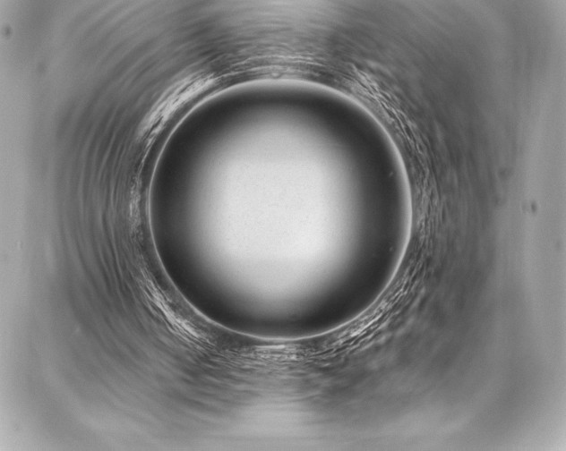 X0000087030050200704161621