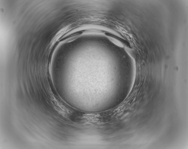 X0000087030051200704161621