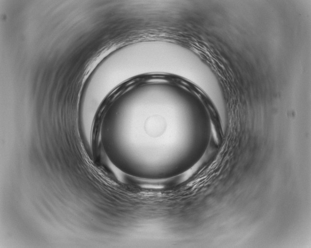 X0000087030052200704161621