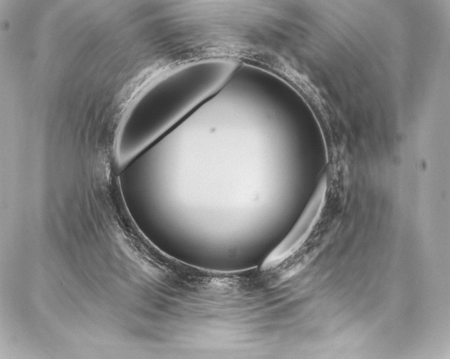 X0000087030060200704161621