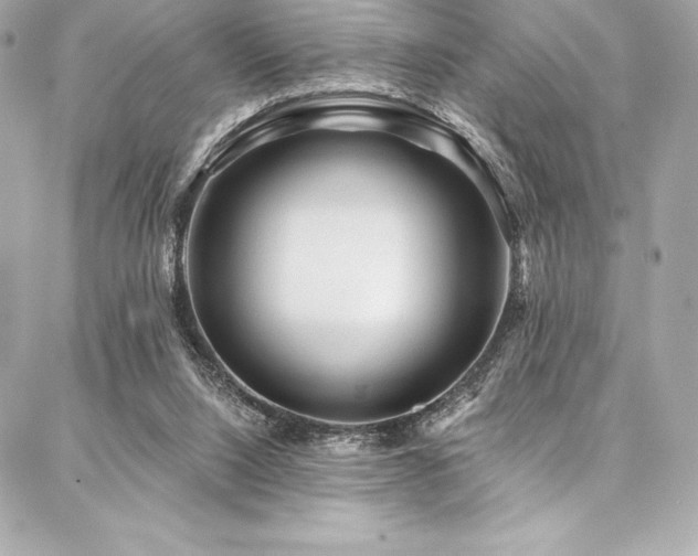 X0000087030064200704161621