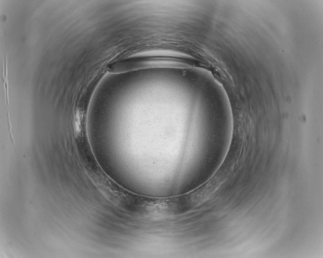 X0000087030075200704161621