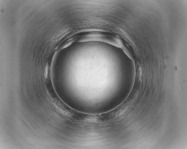 X0000087030076200704161621