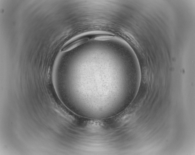 X0000087030077200704161621