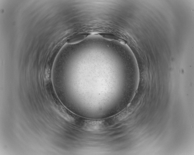 X0000087030081200704161621