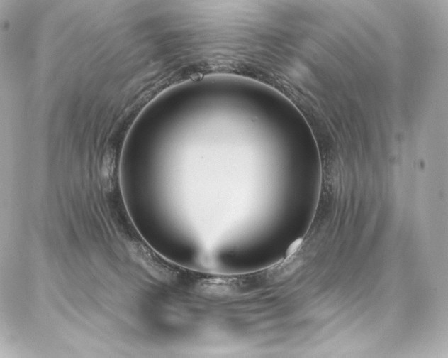 X0000087030082200704161621