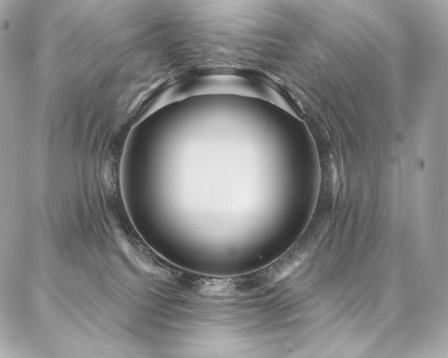 X0000087030088200704161621