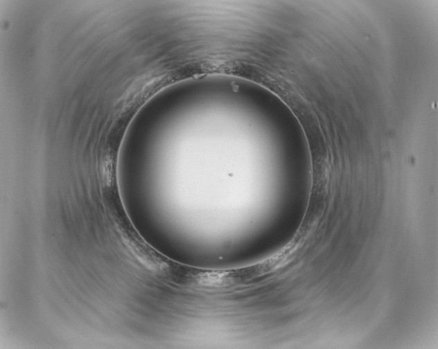 X0000087030090200704161621