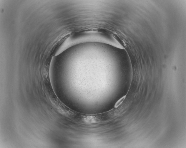 X0000087030091200704161621