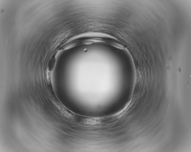 X0000087030094200704161621