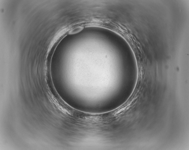 X0000087030102200704161620