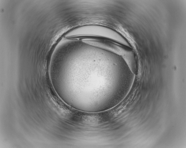 X0000087030107200704161620