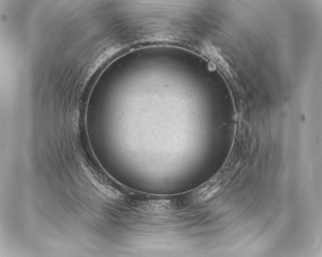 X0000087030108200704161620