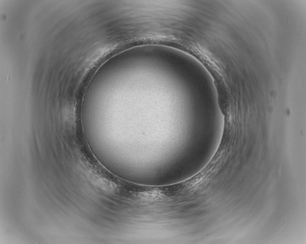 X0000087030112200704161620
