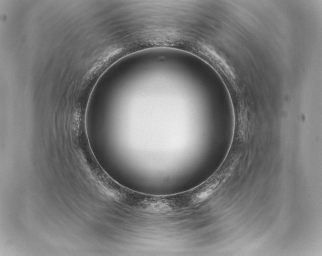 X0000087030113200704161620