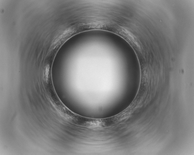 X0000087030118200704161620
