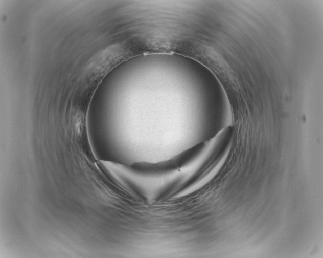 X0000087030125200704161620