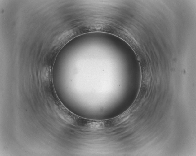 X0000087030126200704161620