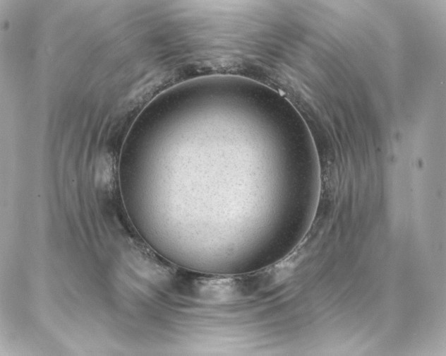 X0000087030132200704161620