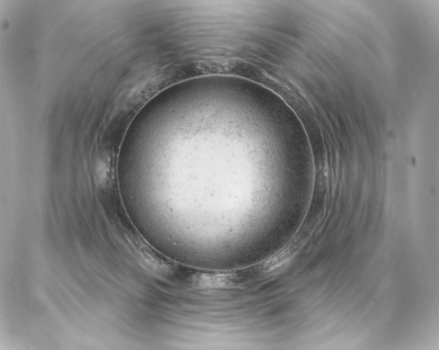 X0000087030134200704161620