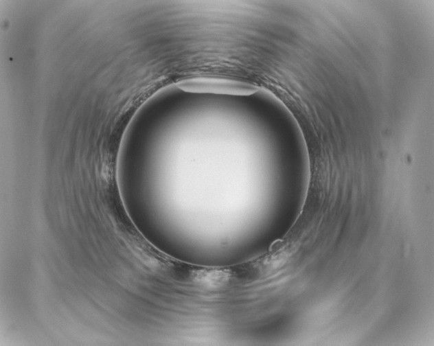 X0000087030135200704161620