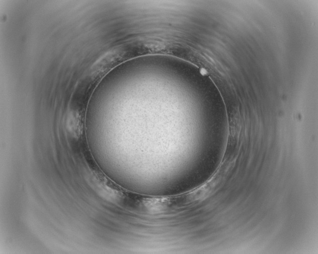 X0000087030136200704161620