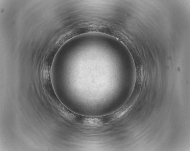 X0000087030137200704161620