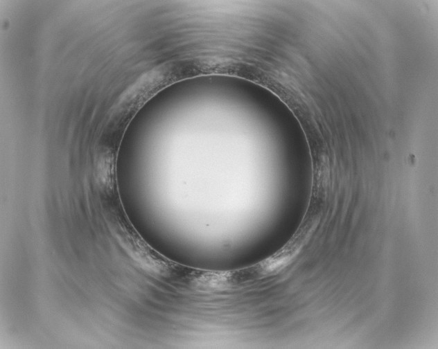 X0000087030138200704161620
