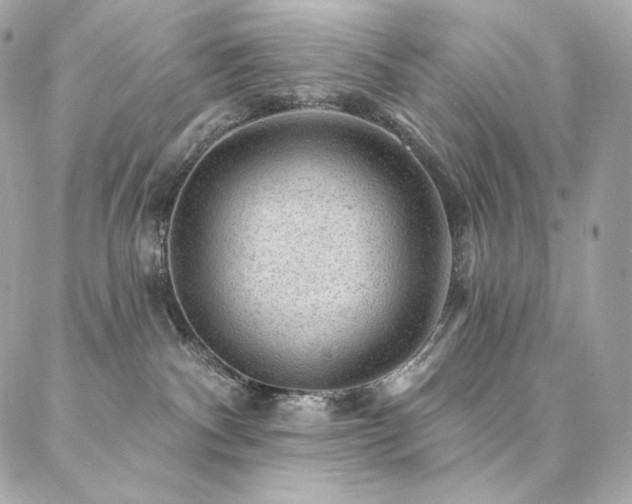 X0000087030140200704161620