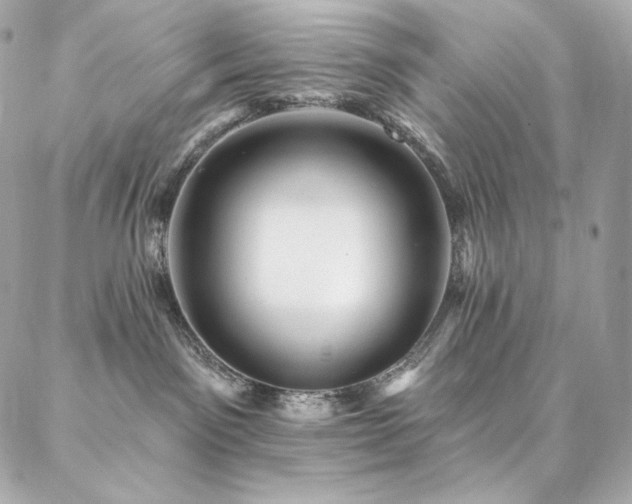 X0000087030141200704161620