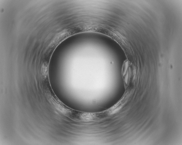 X0000087030142200704161620