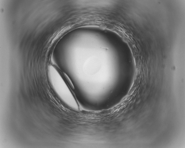 X0000087030146200704161619