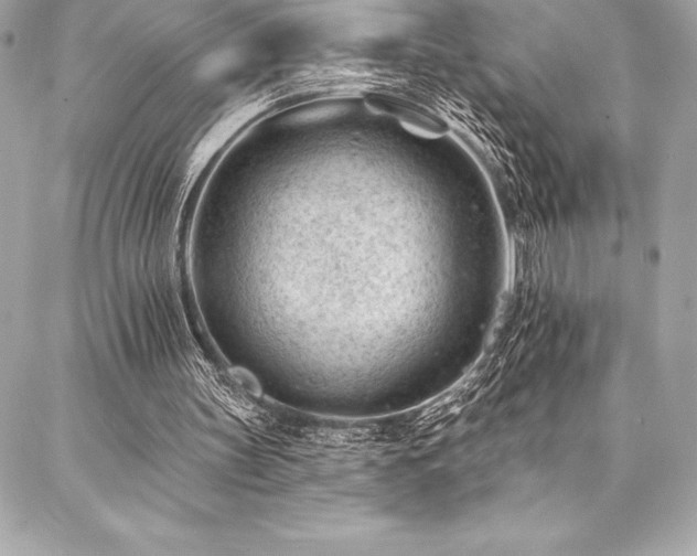X0000087030147200704161619
