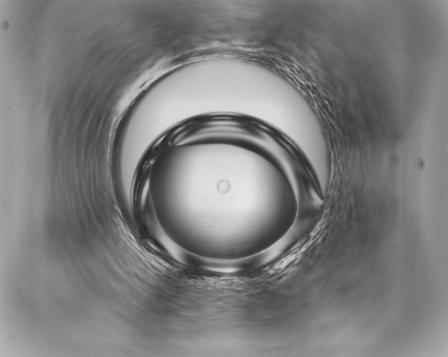 X0000087030150200704161619