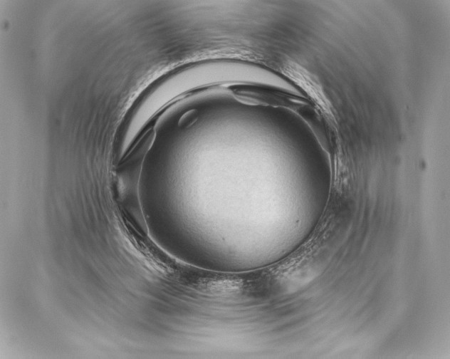 X0000087030156200704161619