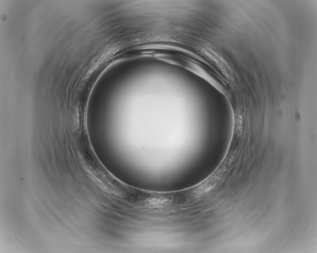 X0000087030158200704161619