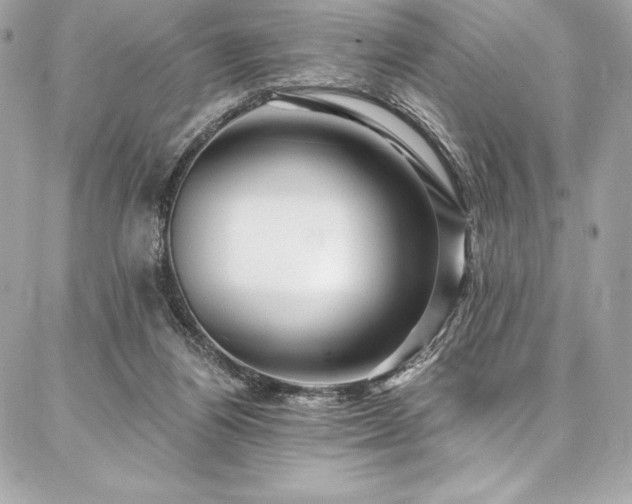 X0000087030164200704161619