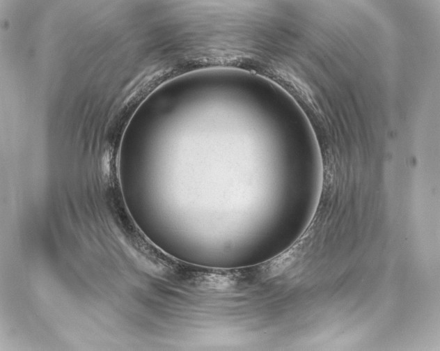 X0000087030166200704161619
