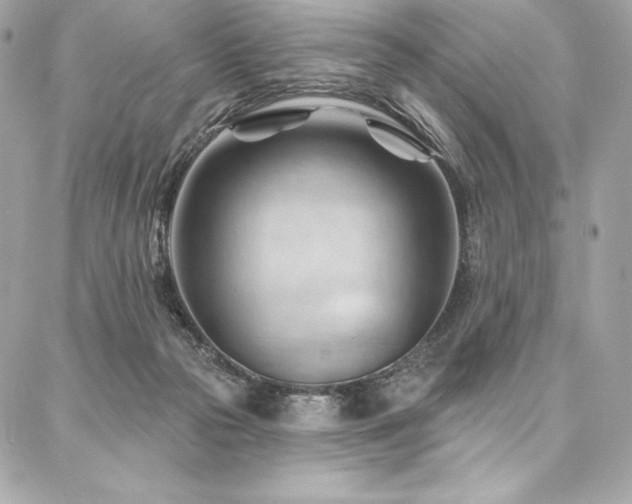 X0000087030169200704161619
