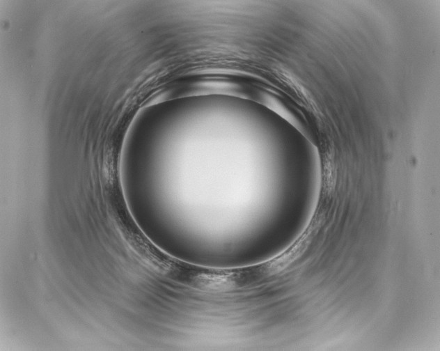 X0000087030170200704161619