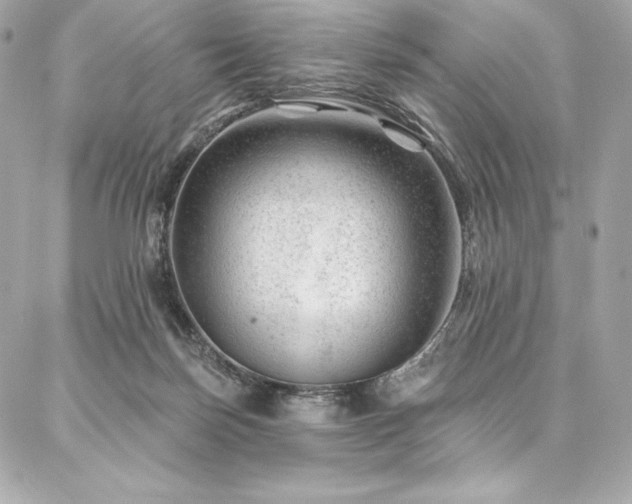 X0000087030171200704161619