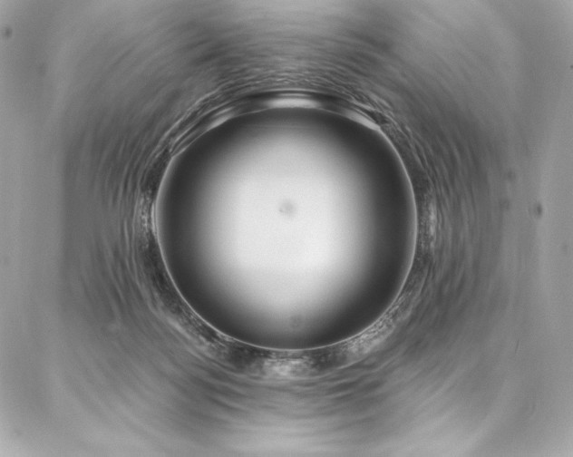 X0000087030172200704161619