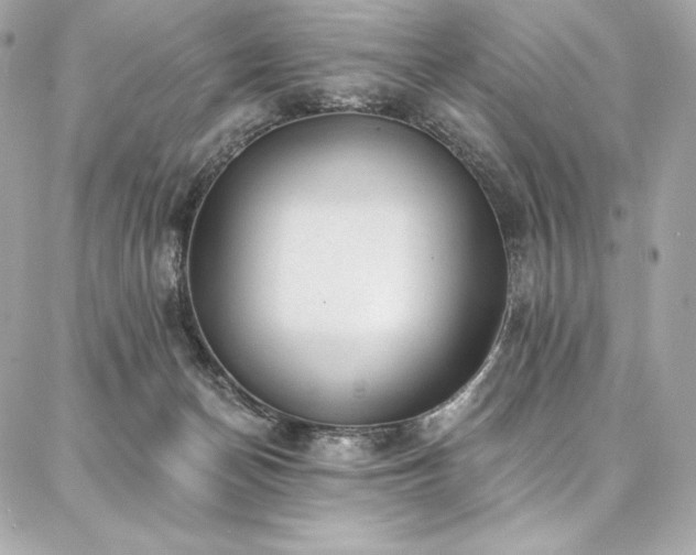 X0000087030174200704161619