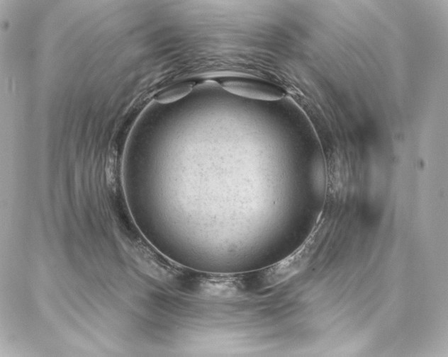 X0000087030175200704161619