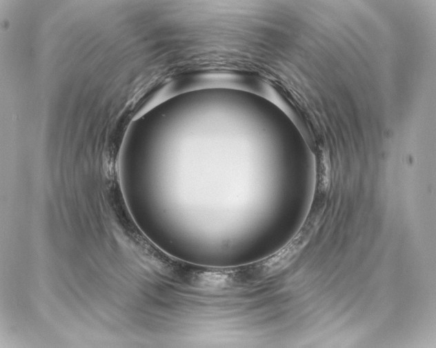 X0000087030176200704161619