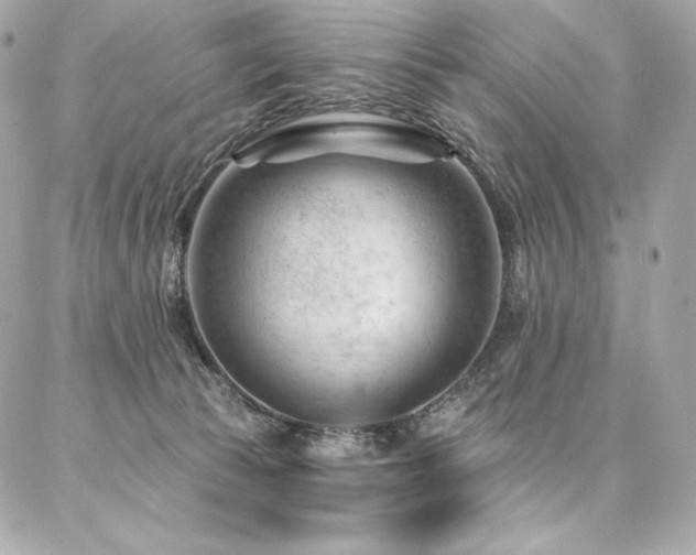 X0000087030177200704161619
