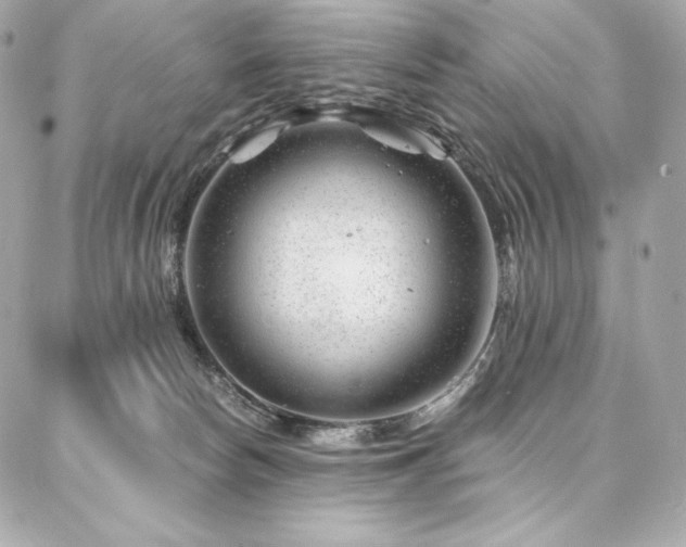X0000087030178200704161619